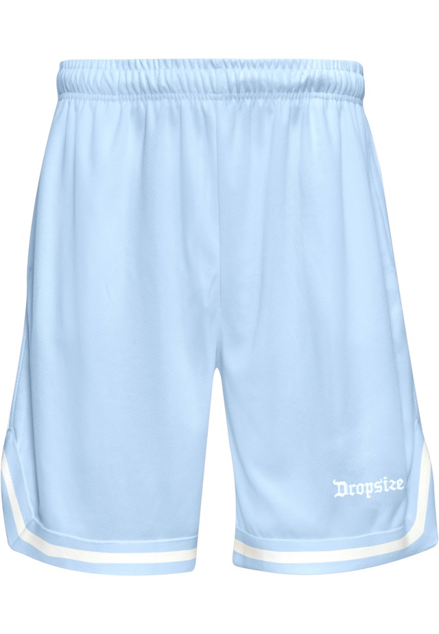 Dropsize »Dropsize Herren Dropsize Logo Mesh Shorts«