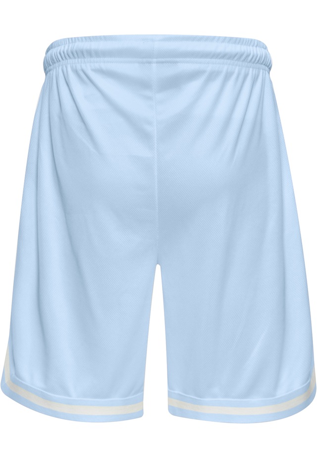 Dropsize »Dropsize Herren Dropsize Logo Mesh Shorts«