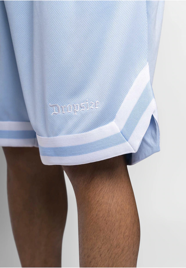 Dropsize »Dropsize Herren Dropsize Logo Mesh Shorts«