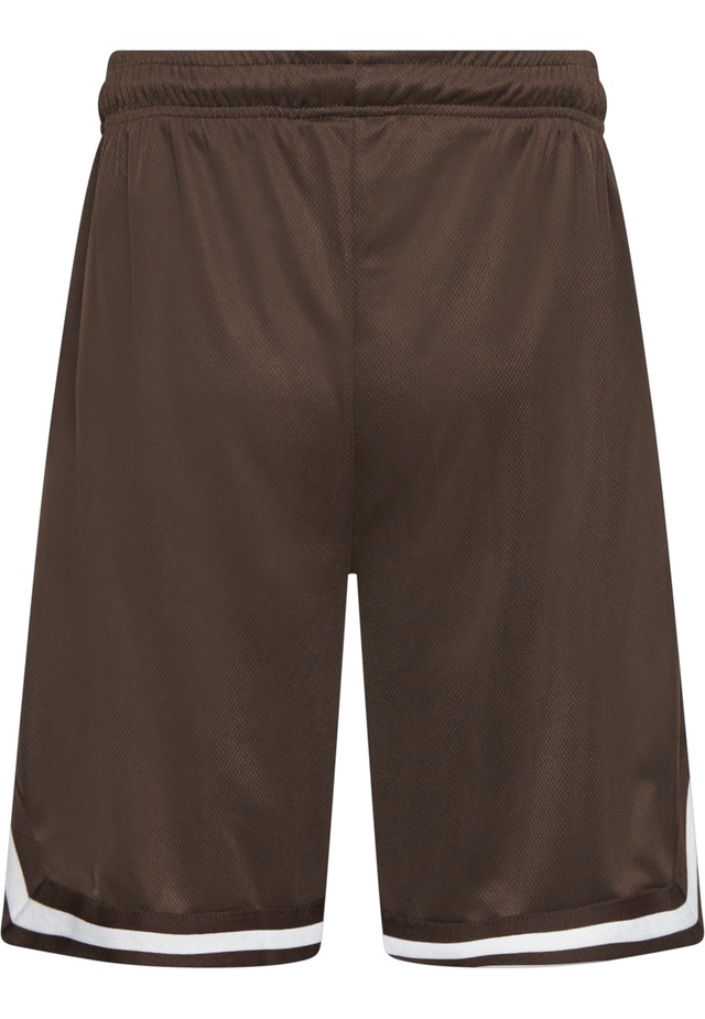 Dropsize »Dropsize Herren Dropsize Logo Mesh Shorts«