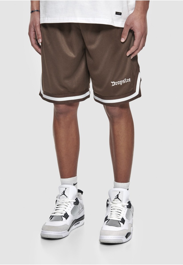 Dropsize »Dropsize Herren Dropsize Logo Mesh Shorts«