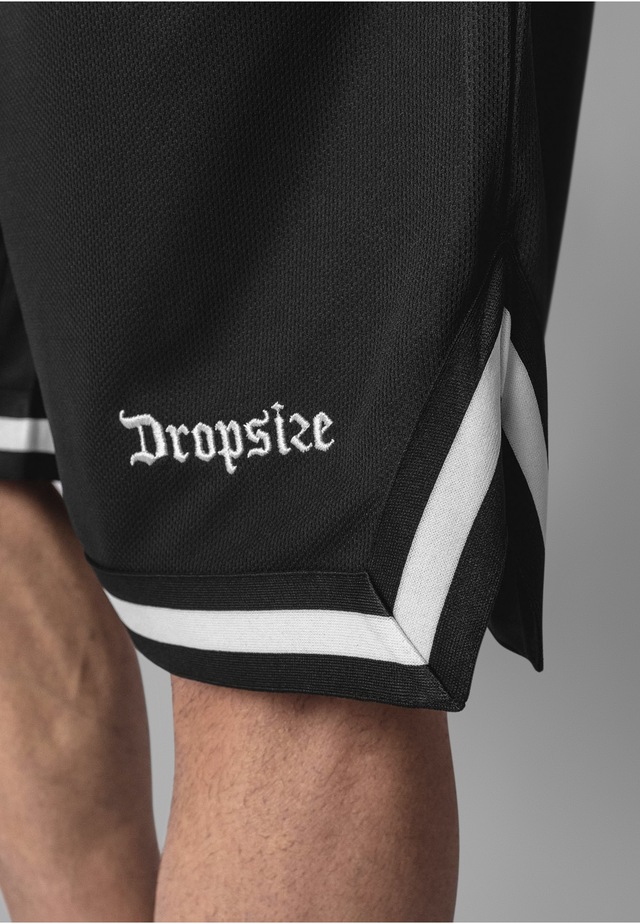 Dropsize »Dropsize Herren Dropsize Logo Mesh Shorts«