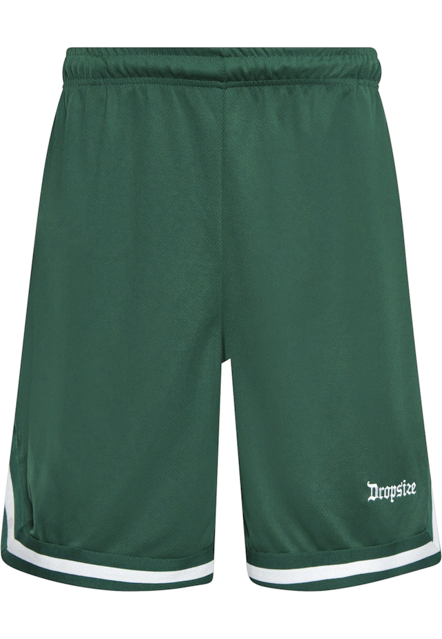 Dropsize »Dropsize Herren Dropsize Logo Mesh Shorts«