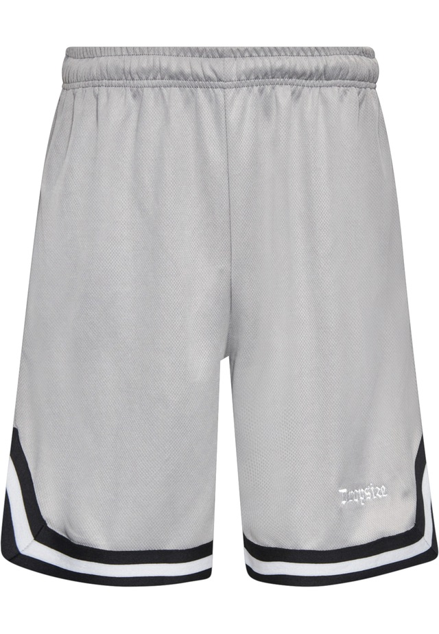 Dropsize »Dropsize Herren Dropsize Logo Mesh Shorts«