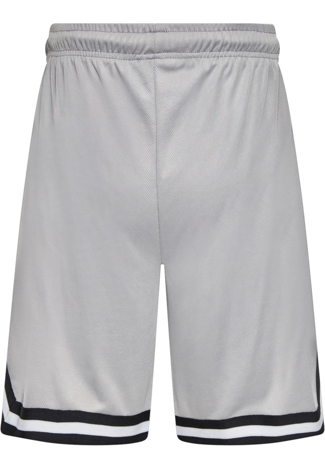 Dropsize »Dropsize Herren Dropsize Logo Mesh Shorts«