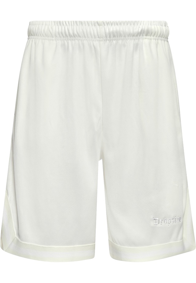 Dropsize »Dropsize Herren Dropsize Logo Mesh Shorts«