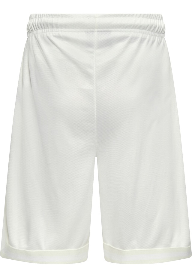 Dropsize »Dropsize Herren Dropsize Logo Mesh Shorts«