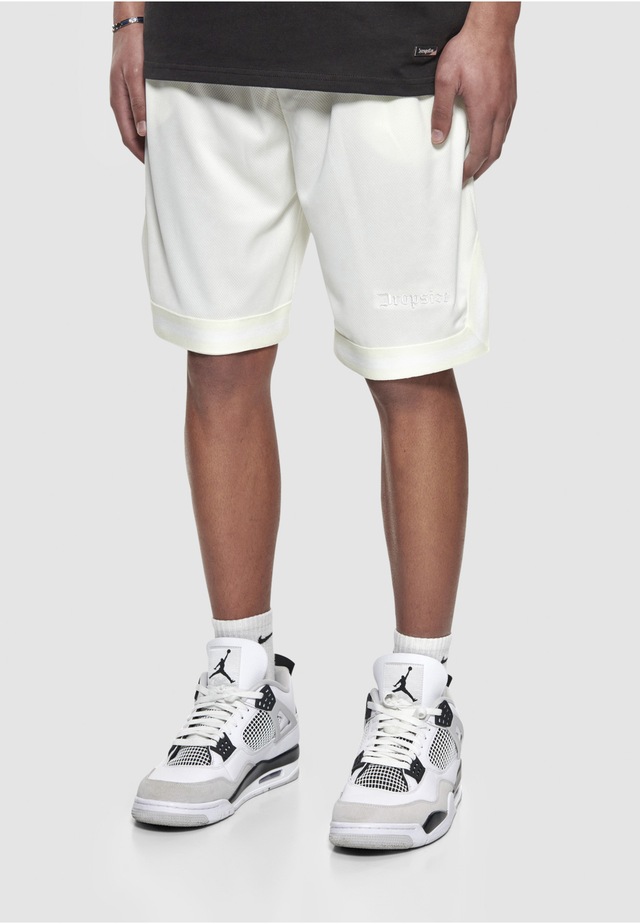 Dropsize »Dropsize Herren Dropsize Logo Mesh Shorts«