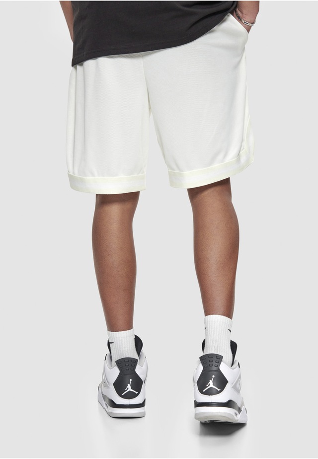 Dropsize »Dropsize Herren Dropsize Logo Mesh Shorts«