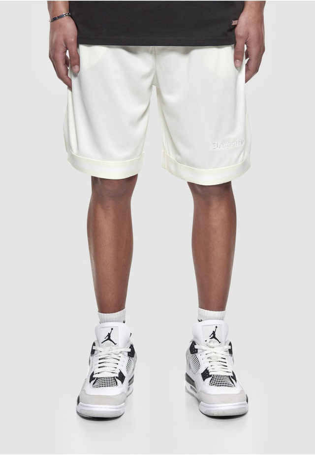 Dropsize »Dropsize Herren Dropsize Logo Mesh Shorts«