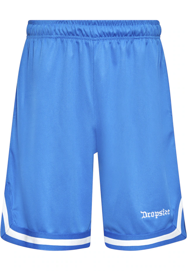Dropsize »Dropsize Herren Dropsize Logo Mesh Shorts«