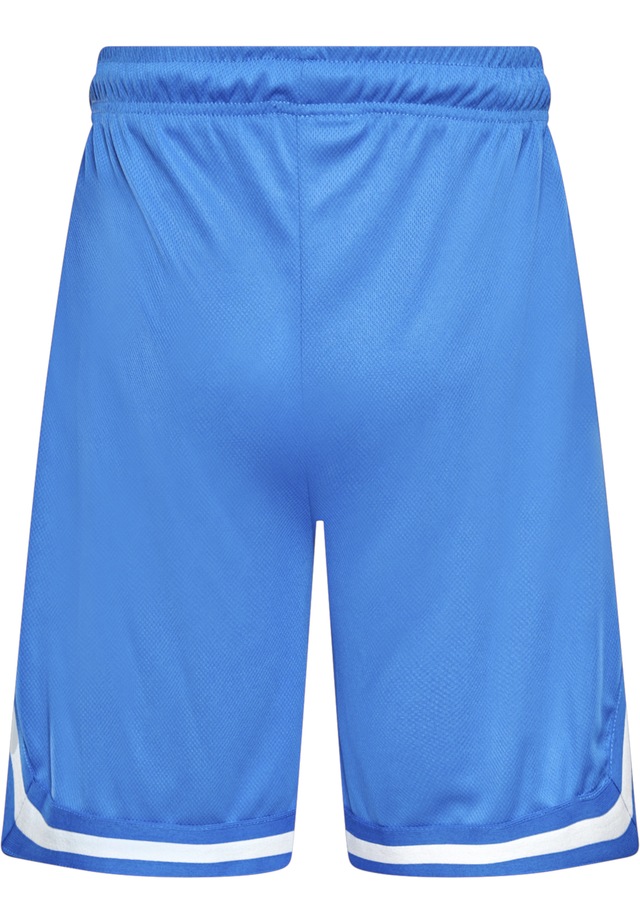 Dropsize »Dropsize Herren Dropsize Logo Mesh Shorts«