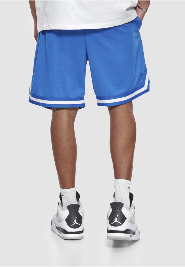 Dropsize »Dropsize Herren Dropsize Logo Mesh Shorts«