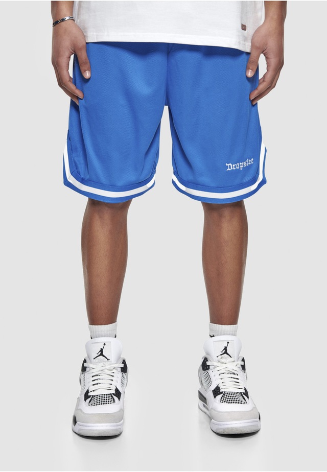 Dropsize »Dropsize Herren Dropsize Logo Mesh Shorts«
