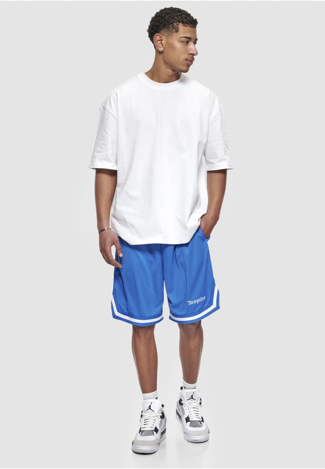 Dropsize »Dropsize Herren Dropsize Logo Mesh Shorts«