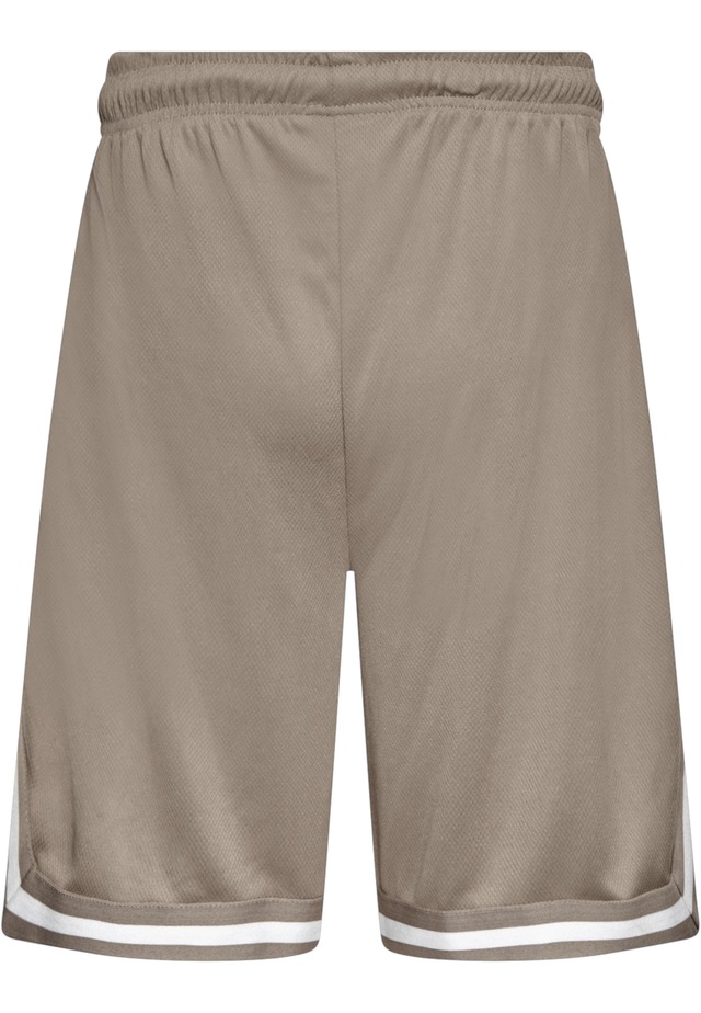 Dropsize »Dropsize Herren Dropsize Logo Mesh Shorts«