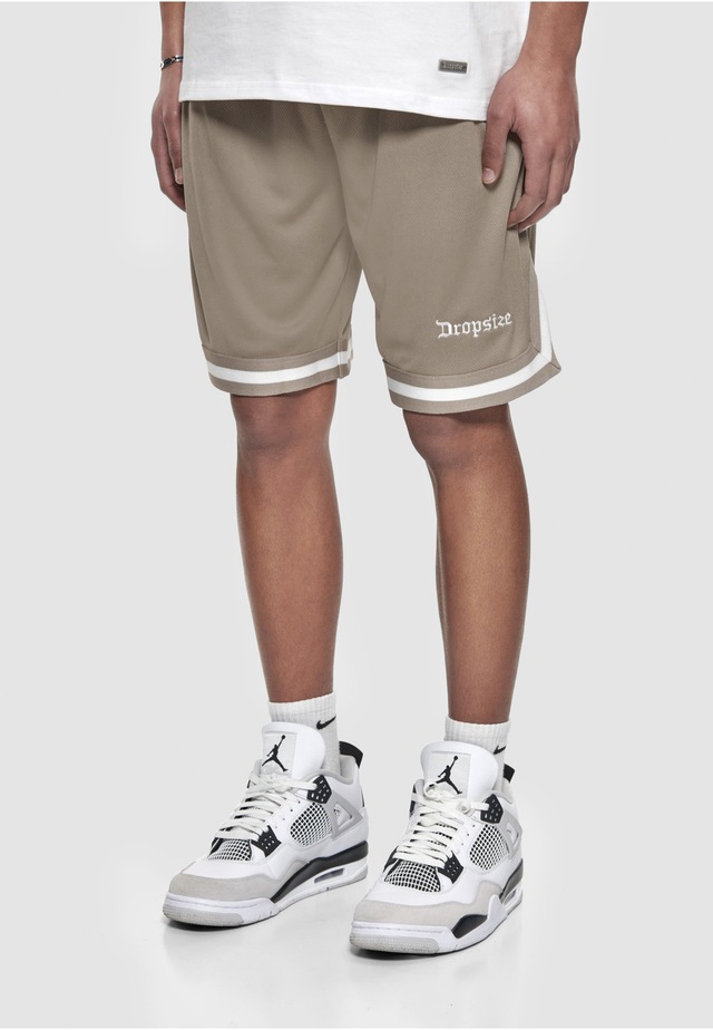 Dropsize »Dropsize Herren Dropsize Logo Mesh Shorts«