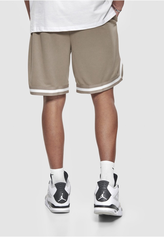 Dropsize »Dropsize Herren Dropsize Logo Mesh Shorts«