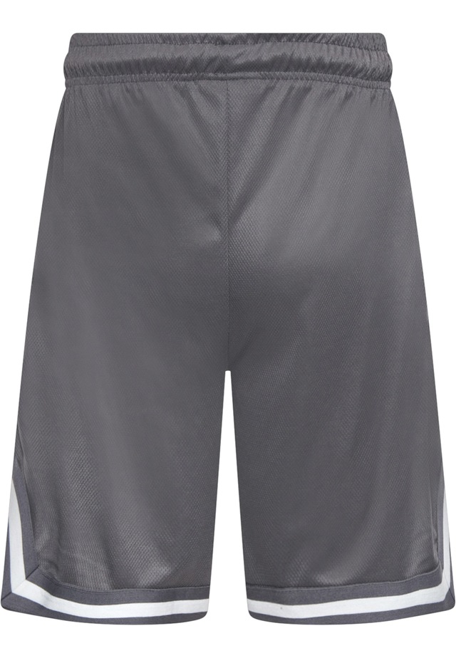 Dropsize »Dropsize Herren Dropsize Logo Mesh Shorts«