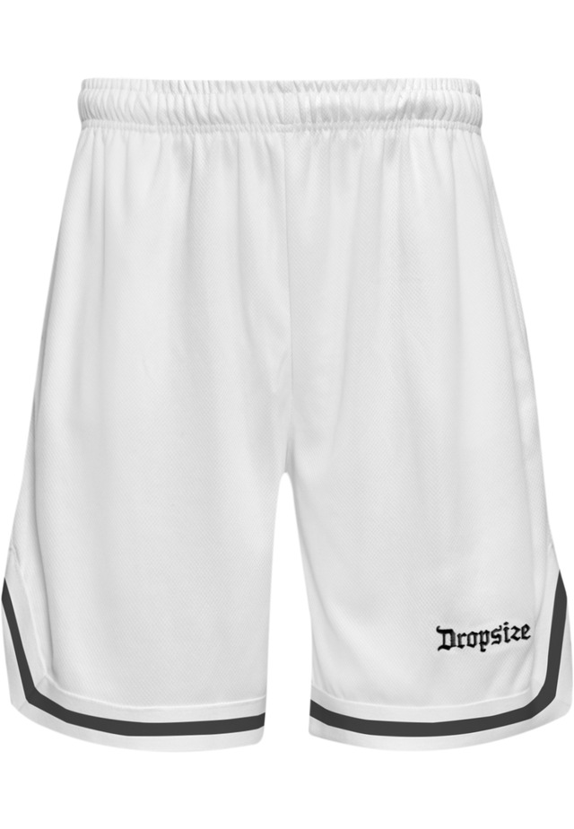 Dropsize »Dropsize Herren Dropsize Logo Mesh Shorts«