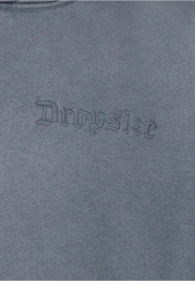 Dropsize Kapuzenpullover »Dropsize Dropsize REGULAR FIT HOODIE« 1 Stk.