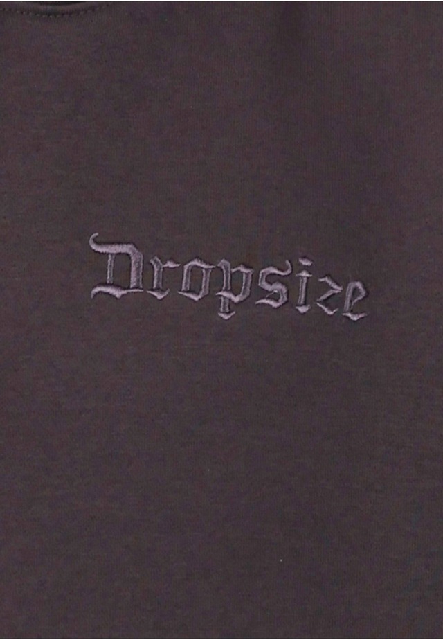 Dropsize Kapuzenpullover »Dropsize Dropsize REGULAR FIT HOODIE« 1 Stk.