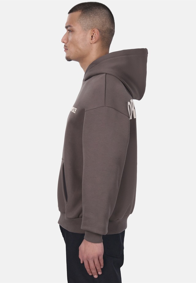 Dropsize Kapuzenpullover »Dropsize HEAVY OVERSIZE HD PRINT HOODIE« 1 Stk.