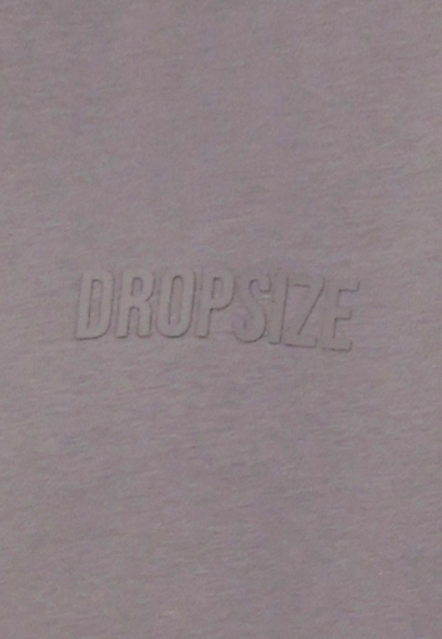 Dropsize Kapuzenpullover »Dropsize HEAVY OVERSIZE HD PRINT HOODIE« 1 Stk.