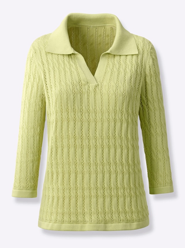 Inspirationen Polokragenpullover »Polopullover«