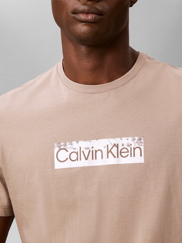 Calvin Klein T-Shirt Reine Baumwolle, Regular Fit, Glanzdruck