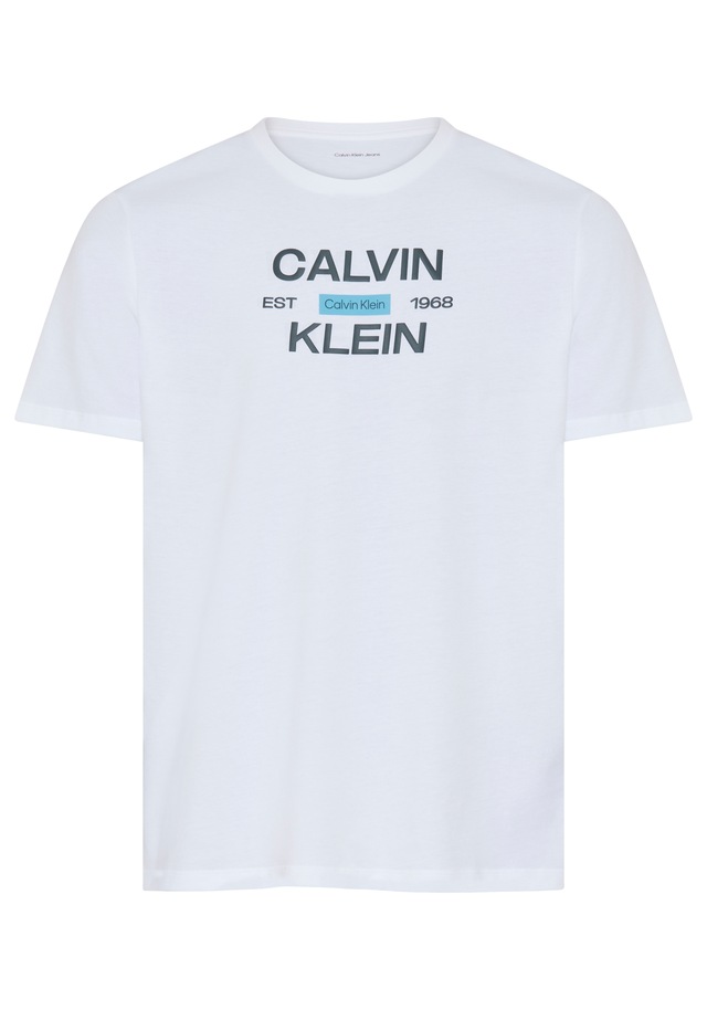 Calvin Klein Jeans T-Shirt »CALVINKLEIN STACK GRAP« Regular fit mit Print