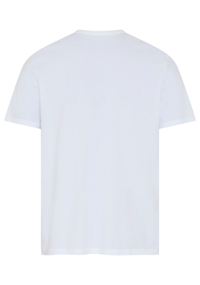 Calvin Klein Jeans T-Shirt »CALVIN KLEIN GRAP« Regular fit mit Markenprint