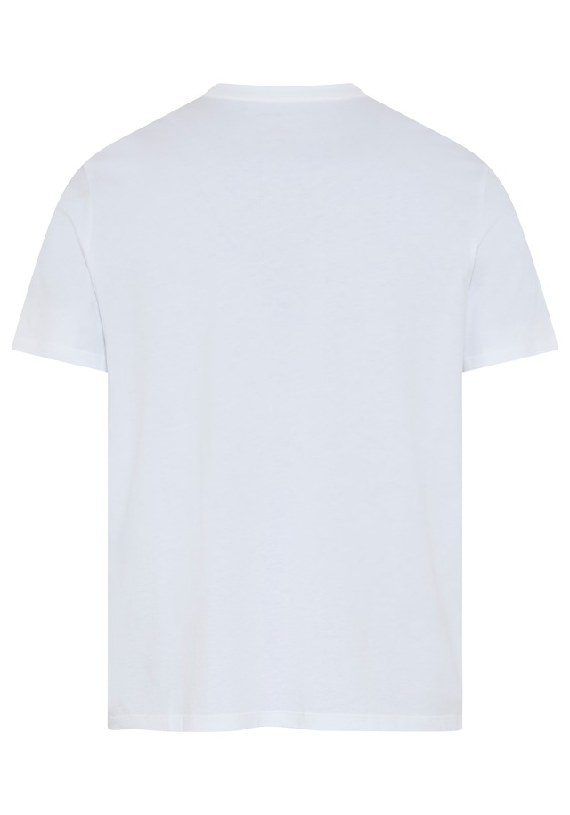 Calvin Klein Jeans T-Shirt »LINES SEASONAL« Regular fit mit Print