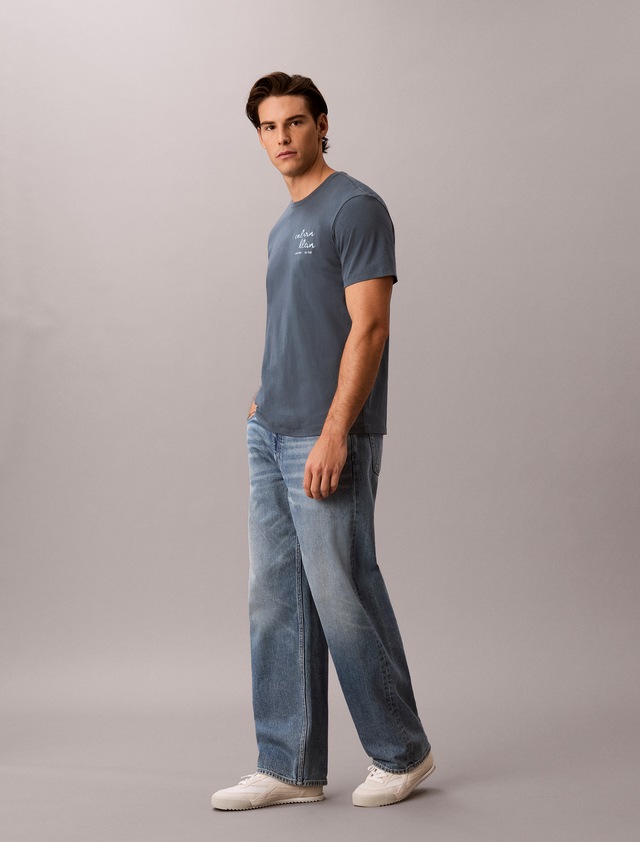 Calvin Klein Jeans T-Shirt »LINES SEASONAL« Regular fit mit Print