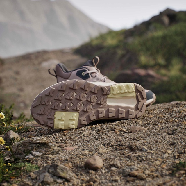 adidas TERREX Wanderschuh »ANYLANDER MID«