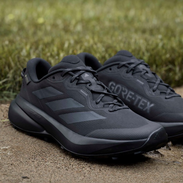 adidas TERREX Trailrunningschuh »TRACEFINDER PLUS GORE-TEX« wasserdicht