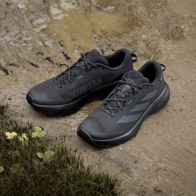adidas TERREX Trailrunningschuh »TRACEFINDER PLUS GORE-TEX« wasserdicht