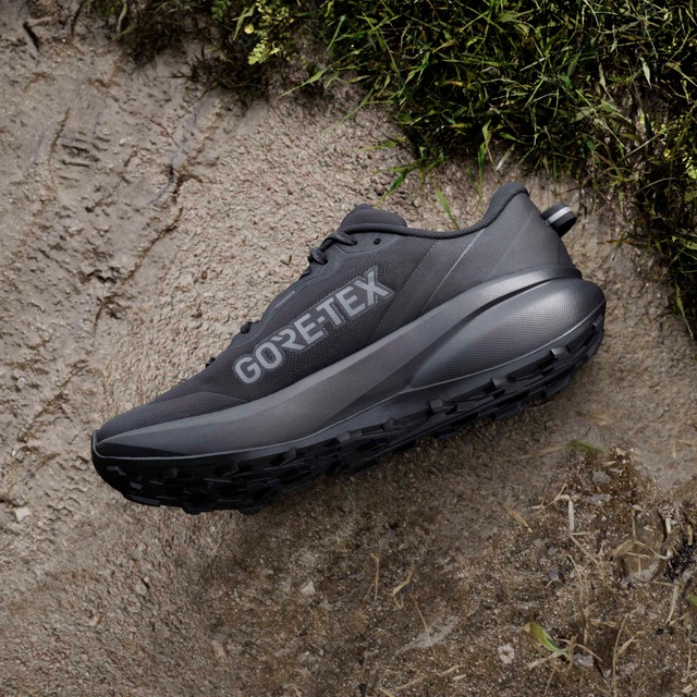 adidas TERREX Trailrunningschuh »TRACEFINDER PLUS GORE-TEX« wasserdicht