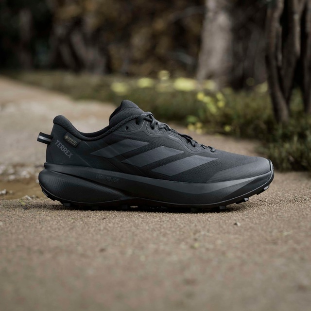 adidas TERREX Trailrunningschuh »TRACEFINDER PLUS GORE-TEX« wasserdicht