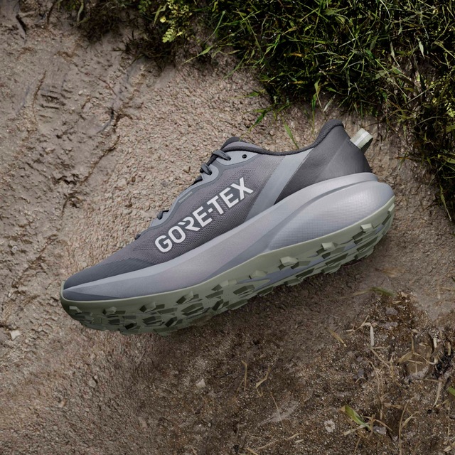 adidas TERREX Trailrunningschuh »TRACEFINDER PLUS GORE-TEX« wasserdicht