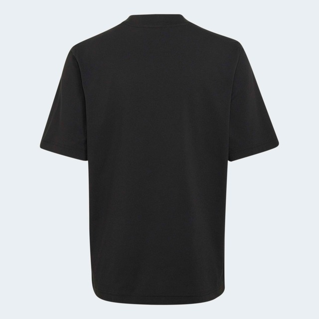 adidas TERREX Funktionsshirt »KIDS XPLORIC GRAPHIC TECH« mit climacool® Technologie, Kurzarm, ohne Verschluss, für Kinder