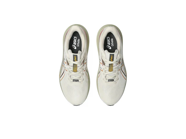 Asics Laufschuh »GT-1000 15 GORE-TEX®« für mehr Stabilität und wasserdicht