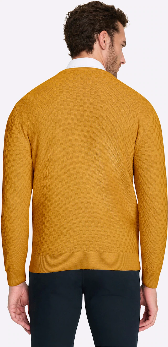 Marco Donati Rundhalspullover »Pullover«