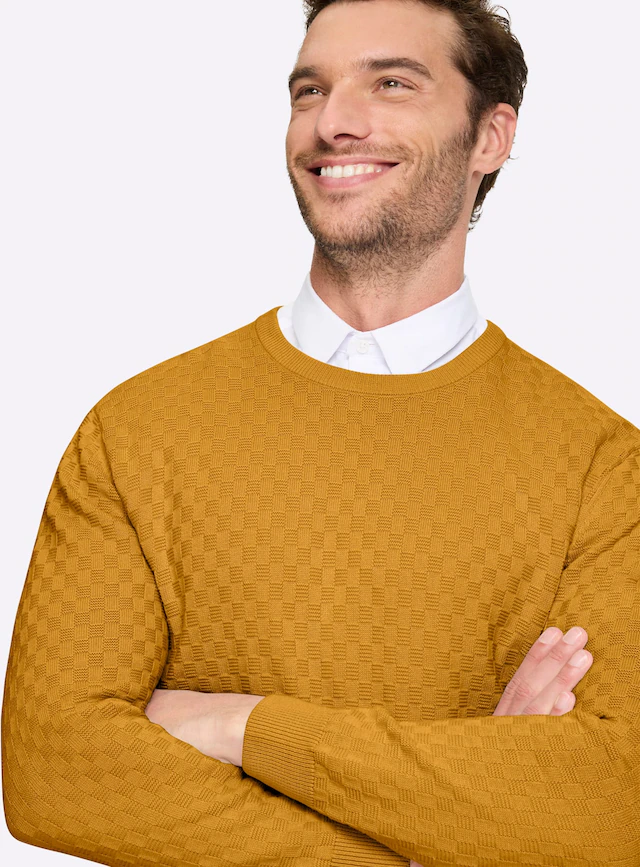 Marco Donati Rundhalspullover »Pullover«