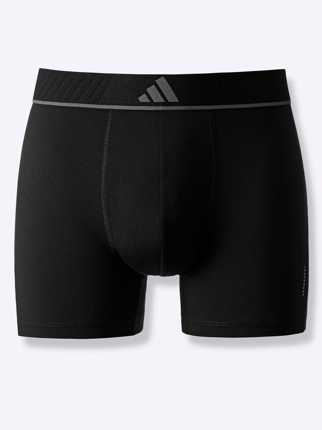 Panty 3 Stk.