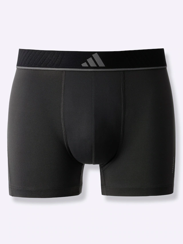 Panty 3 Stk.