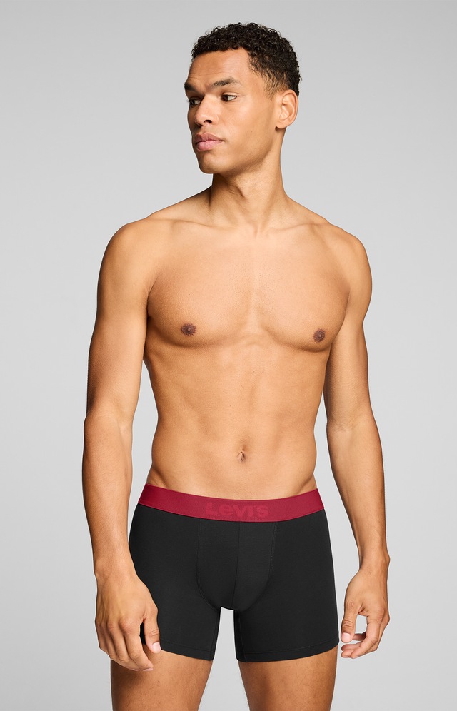 Levi's® Boxershorts »LEVIS MEN TWILL WB BOXER BRIEF 2P« ohne Eingriff, Stretchbund