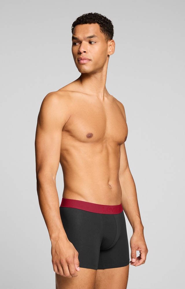 Levi's® Boxershorts »LEVIS MEN TWILL WB BOXER BRIEF 2P« ohne Eingriff, Stretchbund
