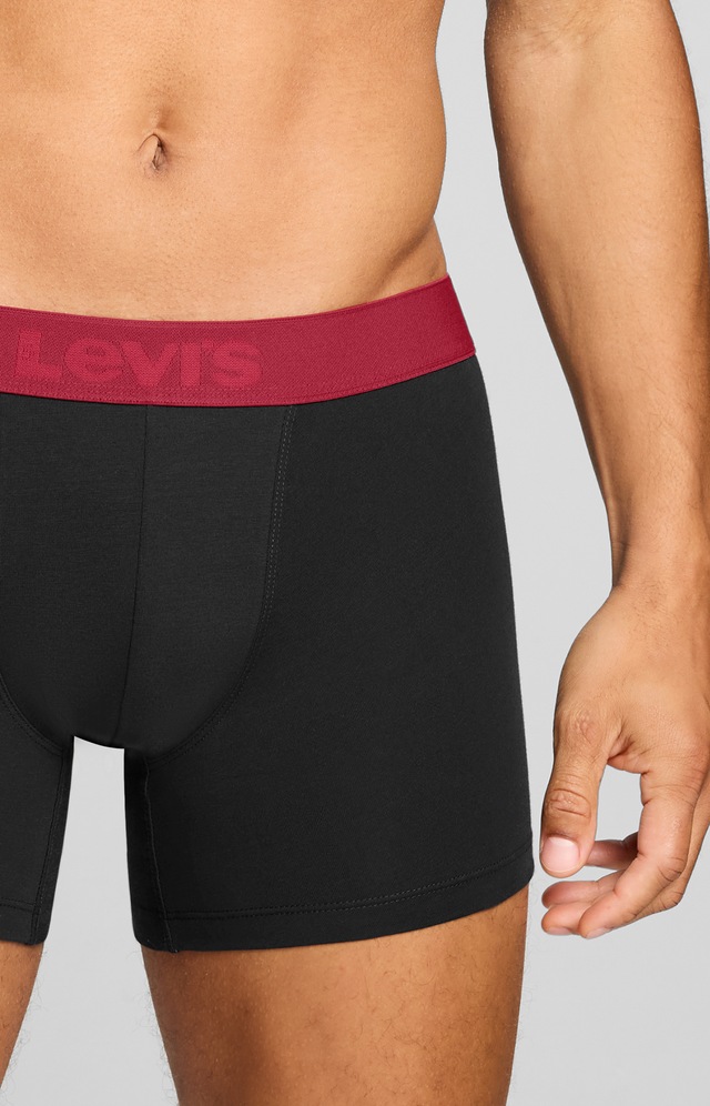 Levi's® Boxershorts »LEVIS MEN TWILL WB BOXER BRIEF 2P« ohne Eingriff, Stretchbund