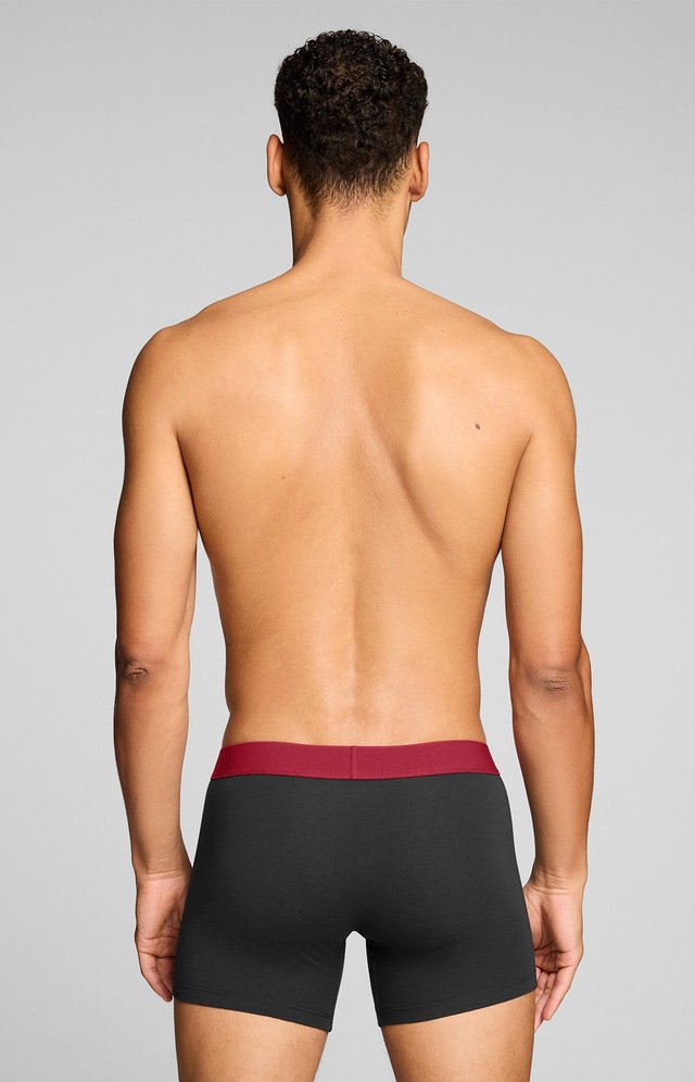 Levi's® Boxershorts »LEVIS MEN TWILL WB BOXER BRIEF 2P« ohne Eingriff, Stretchbund